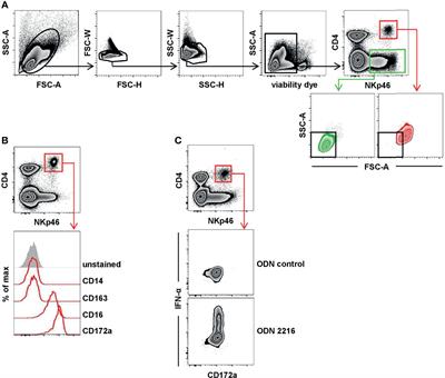 Porcine Plasmacytoid Dendritic Cells Are Unique in Their Expression of a Functional NKp46 Receptor